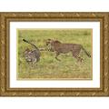 Jaynes Gallery 24x17 Gold Ornate Wood Framed with Double Matting Museum Art Print Titled - Kenya-Masai Mara National Reserve Young cheetahs playing