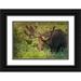 Illg Cathy and Gordon 18x13 Black Ornate Wood Framed with Double Matting Museum Art Print Titled - Colorado Brainard Lake Moose in velvet antlers