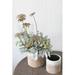 Joss & Main Brooks Concrete Pot Planter Concrete | 5.25 H x 5.25 W x 5.25 D in | Wayfair DF23F85262514D82AEA2E414CF281AAD