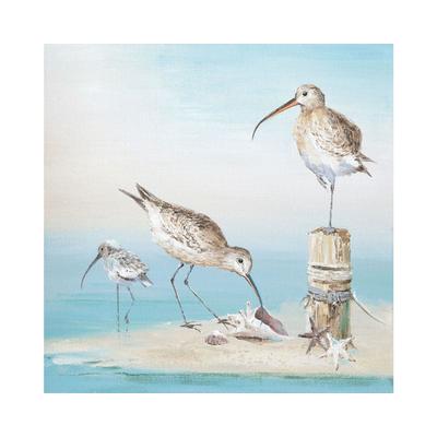 La Casa »Strandläufer auf der Suche« Ölbild handbemalt auf Leinwand Image