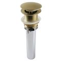 Kingston Brass Pop-Up KItchen Sink Drain | 9.8 H x 2.75 W x 9.81 D in | Wayfair GCL112BB