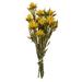 Primrue Plumosmum Centerpiece in Yellow | 10 H x 8 W x 8 D in | Wayfair 7D56C9C2BCB54ABAB400433C17F3F378