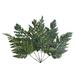 Primrue 6 - Piece Preserved Foliage Plant Set | 6 H x 8 W x 1 D in | Wayfair 78EEECCE24264FCA982C20822BB9BA9C