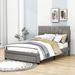 Latitude Run® Lavoix Queen Size Upholstered Platform Bed w/ a Big Drawer Velvet, Wood in Gray | 48 H x 62 W x 82 D in | Wayfair