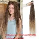 Tissage Synthétique Bouclé et Crépu pour Femme Extensions de Cheveux Blonds et Bruns