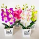 Bonsaï orchidée papillon Élavec pot fausse fleur décor de meubles de maison réaliste facile à
