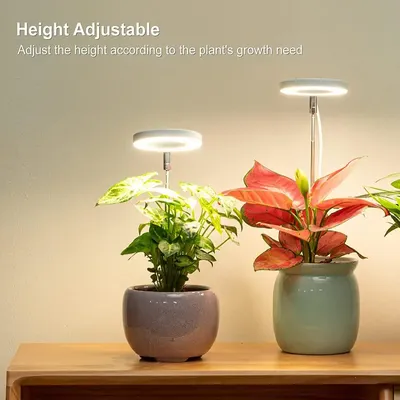 Lampe de Croissance LED pour Plantes d'Nik Anneau d'Ange 5V USB Phyinformation Lampe pour