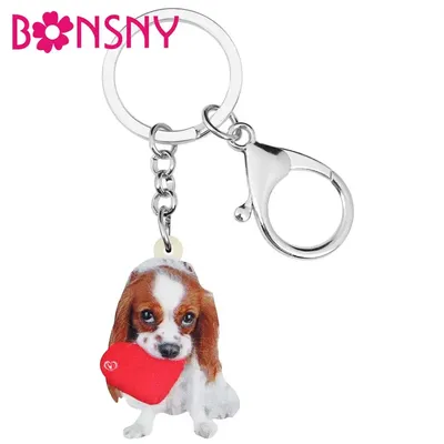 Bonsny – porte-clés en acrylique pour femme et jeune fille cadeau idéal pour la saint-valentin