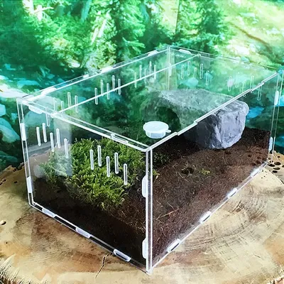 Terrarium en acrylique transparent pour reptile fournitures pour animaux de compagnie pour reptile