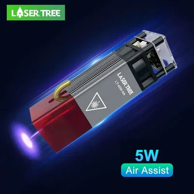 Module LASER 40W avec assistance aérienne tête Laser TTL haute puissance 80W à lumière bleue pour