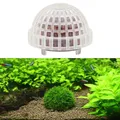 Boule de mousse minérale naturelle pour Aquarium en cristal crevette rouge réservoir de poisson