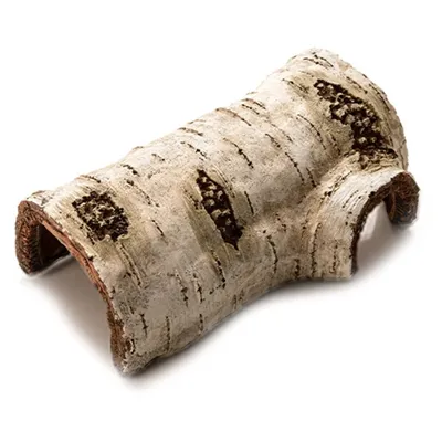 Cachette de petit Reptile en forme de serpent grotte de bouleau artificiel décor de Terrarium pour