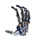 Griffe de robot bionique 5DOF pince manipulateur accessoires de support bricolage