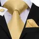 Hi-Tie – cravate en soie pour hommes de haute qualité ensemble de cravates dorées et de boutons de