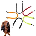 Winhyepet – laisse élastique pour chien corde extensible tampon laisse accessoires pour animaux