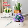 Plante verte créative succulente en pot modèle 3D Mini blocs de construction Bouquet à faire