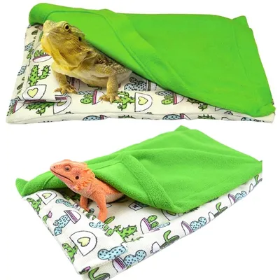 Lit de Dragon barbu avec oreiller et couverture lit de couchage confortable et chaud avec housse en