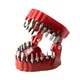 Porte-embout magnétique pour perceuse à Denture tournevis support d'organisation des embouts