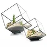 Boîte de rangement de terrarium cubique géométrique porte-bijoux terrarium en verre boîte de