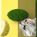 Brosse d'angle de Massage pour chats peigne auto-toilettage brosse murale en forme de Durian