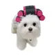 Casquette à cheveux pour petit chien et chat couvre-chef à roulettes fausse frange accessoires de