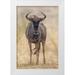 Lord Fred 23x32 White Modern Wood Framed Museum Art Print Titled - Africa South Africa Frontal view of gnu