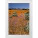 Kaveney Wendy 11x14 White Modern Wood Framed Museum Art Print Titled - Wildflower season Namaqua NP South Africa