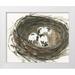 Dixon Samuel 24x20 White Modern Wood Framed Museum Art Print Titled - Nesting Eggs I