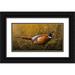 Goebel Wilhelm 14x9 Black Ornate Wood Framed with Double Matting Museum Art Print Titled - Sneaking Through The Long Grass - Ring Neck Pheasant