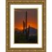 Illg Cathy and Gordon 23x32 Gold Ornate Wood Framed with Double Matting Museum Art Print Titled - Arizona Saguaro NP Sunset on desert landscape