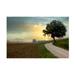 Alan Blaustein Tuscan Farm Road 1 Canvas Art