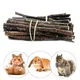 Bâtonnets à mâcher en bois 50 g/sac petits animaux de compagnie lapin Hamster cochon d'inde