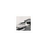 Anette Funicello w/ Classic Cadillac - Unframed Photograph Paper in Black/Gray/White Globe Photos Entertainment & Media | 12 H x 12 W in | Wayfair