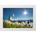 Luhm Gary 24x17 White Modern Wood Framed Museum Art Print Titled - Washington State Avalanche Lilies backlit against a starburst sky at Olympic National Park
