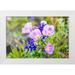 Wilson Emily M. 24x17 White Modern Wood Framed Museum Art Print Titled - Lampasas-Texas-USA-Pink Evening Primrose and Bluebonnet wildflowers in the Texas Hill Country