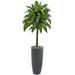 Nearly Natural 5ft. Dracaena Artificial Plant in Gray Planter