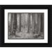 Geyman Vitaly 14x11 Black Ornate Wood Framed with Double Matting Museum Art Print Titled - Pine Tree Grove II BandW