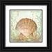 McRostie Kate 15x15 Black Ornate Wood Framed with Double Matting Museum Art Print Titled - Seashells and Coral III