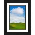 Eggers Terry 17x24 Black Ornate Wood Framed with Double Matting Museum Art Print Titled - USA-Washington State-Palouse Region-Patterns in the fields of fresh green Spring wheat