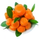 Branches et Feuilles d'Oranges Artificielles Faux Fruits Exposition Alimentaire Décoration de ixà
