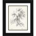 Unknown 12x14 Black Ornate Wood Framed with Double Matting Museum Art Print Titled - Birch Tree Study