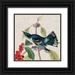 Audubon John James 12x12 Black Ornate Wood Framed with Double Matting Museum Art Print Titled - Avian Crop III