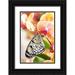 Jenny Rainbow Fine Art 17x24 Black Ornate Wood Framed with Double Matting Museum Art Print Titled - Paper Kite Tropical Butterfly 2