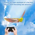 Avion volant électronique pour enfants importateur télécommandé jouet pour enfants oiseau RC