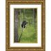 Grall Don 13x18 Gold Ornate Wood Framed with Double Matting Museum Art Print Titled - Tennessee Black bear cub playing on tree limb