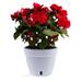 ðŸª´ Santino ASTI 9.2 Inch Self Watering Planter WHITE/BLACK for Indoor Plants - Modern Plastic Planter Pot w/ Water level Indicator for All House Herbs Plants African Violets and Dahlias