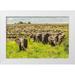 Jaynes Gallery 32x23 White Modern Wood Framed Museum Art Print Titled - Africa-Tanzania-Serengeti National Park Migration of zebras and wildebeests with elephant herd