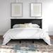 Three Posts™ Markovich Solid Wood Platform Bed In Twin - Gloss White Wood in Black | 43.7 H x 80.9 W x 84.4 D in | Wayfair