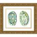 McCavitt Naomi 32x25 Gold Ornate Wood Framed with Double Matting Museum Art Print Titled - Abalone Shells II