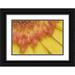 Clemons Kathleen 14x11 Black Ornate Wood Framed with Double Matting Museum Art Print Titled - ME Harpswell Yellow and pink gerbera daisy